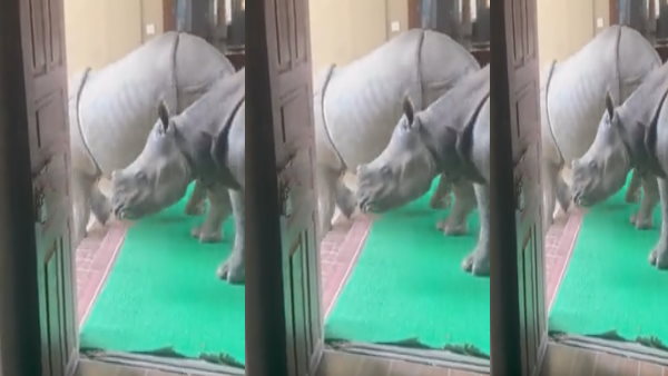 जानें कहां का है ये वीडियो जानें कहां का है ये वीडियो