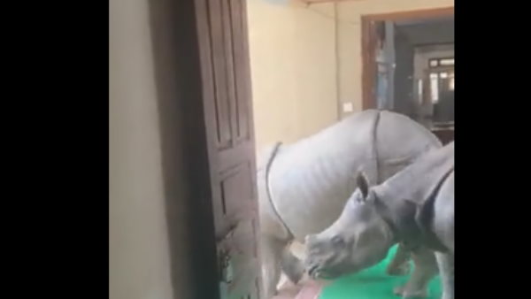 IFS अधिकारी सुशांत नंदा ने शेयर कर लिखी ये बात IFS अधिकारी सुशांत नंदा ने शेयर कर लिखी ये बात