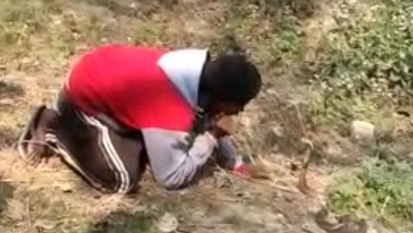 किंग कोबरा के साथ खेलना पड़ा महंगा!