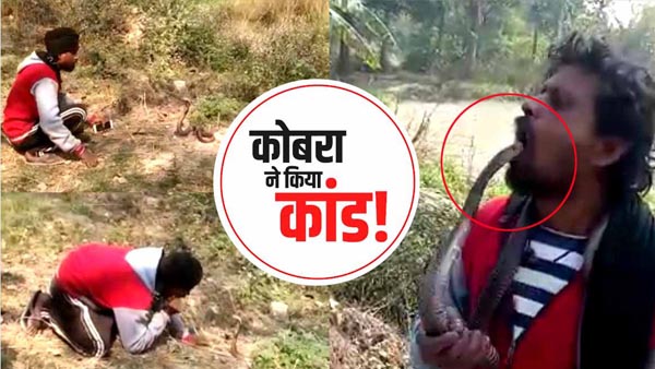 सांप के डसने से हुई युवक की मौत