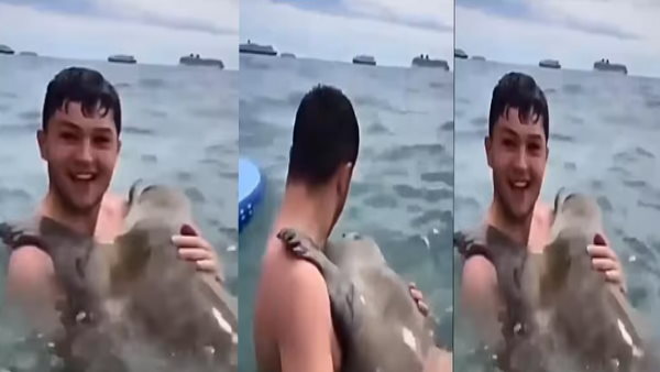 इतनी फ्रेडली सील को देखकर लोगों ने बोली ये बात इतनी फ्रेडली सील को देखकर लोगों ने बोली ये बात