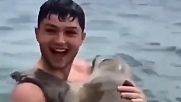 वीडियो शेयर करने वाले ने कैप्शन में लिखा Unexpected hug वीडियो शेयर करने वाले ने कैप्शन में लिखा Unexpected hug