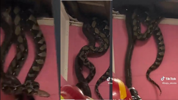 ऐसे समय आपको घर जलाना होगा ऐसे समय आपको घर जलाना होगा