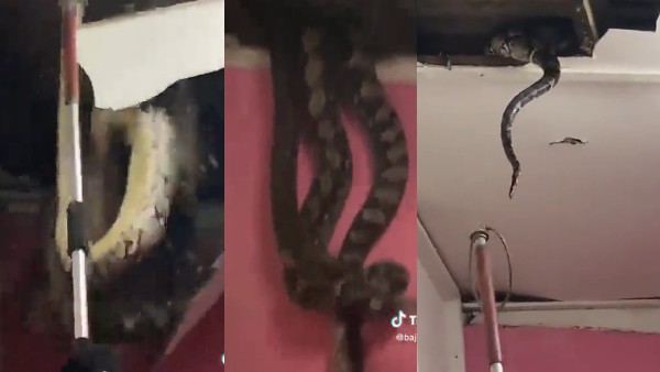 पहले टिक-टॉक पर आई वीडियो पहले टिक-टॉक पर आई वीडियो