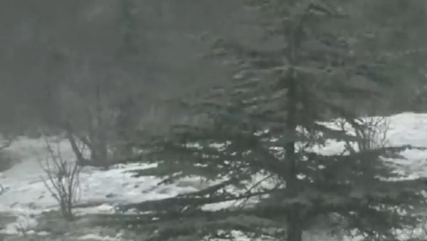 कहां कितनी बारिश? कहां कितनी बारिश?