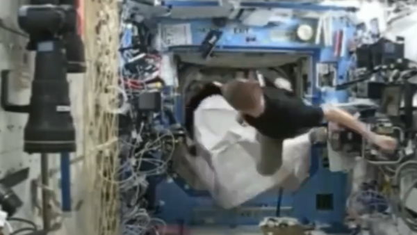 गोरिल्ला से घबराते हुए अतरक्षि भागते हुए नजर आए गोरिल्ला से घबराते हुए अतरक्षि भागते हुए नजर आए