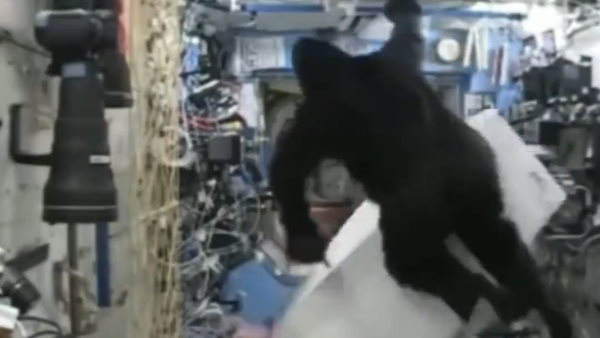 अंतरिक्ष स्टेशन के इतिहास में अब तक का सबसे बड़ा मजाक अंतरिक्ष स्टेशन के इतिहास में अब तक का सबसे बड़ा मजाक