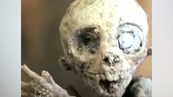 छिपकली की तरह कंकाल