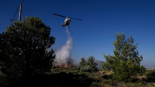 चिली के जंगल में भीषण आग