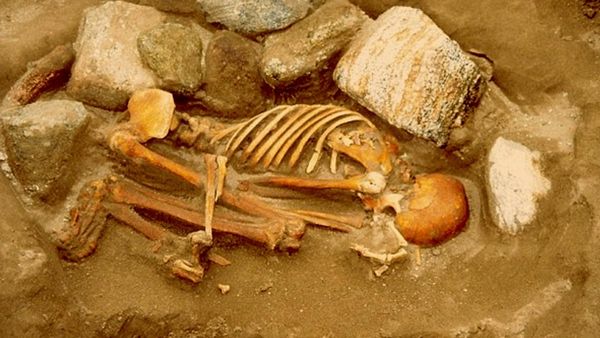 दो भाइयों के मिले हैं अवशेष