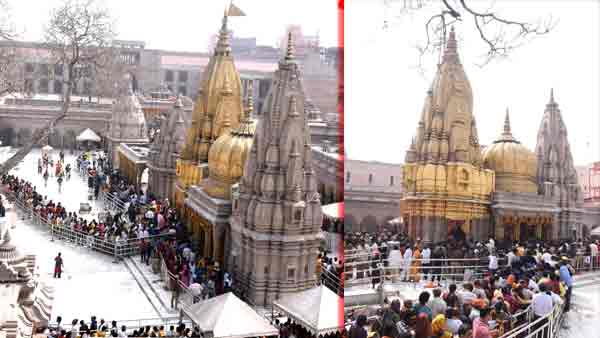 सात लाख से अधिक भक्तों ने किया दर्शन सात लाख से अधिक भक्तों ने किया दर्शन