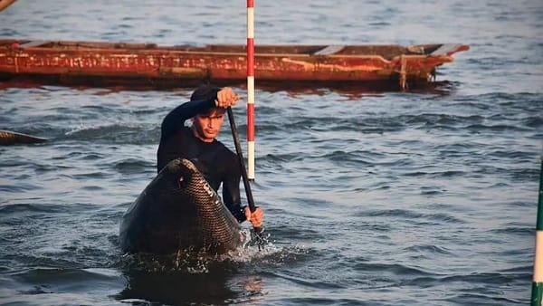 मीडिया से मिली प्रेरणा