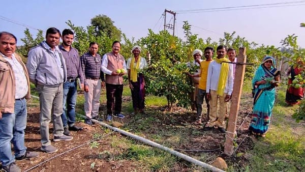 फल, फूल और सब्जियों की खेती