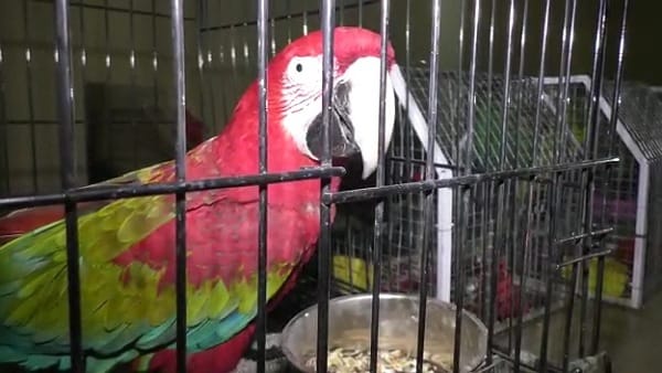 आगे भी जारी रह सकता है प्रोग्राम