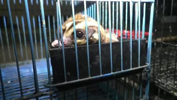 रेवेन्यू कलेक्शन में हो रही बढ़ोतरी