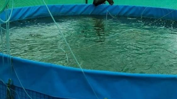 पांच लोगों को दे रही है रोजगार