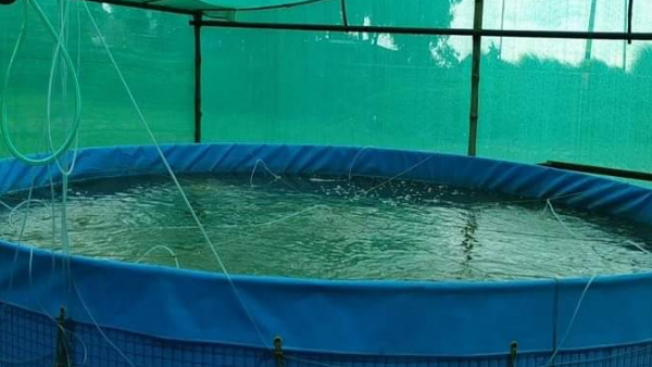 नौकरी छोड़कर मछली पालन शुरू किया