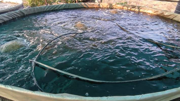 1 करोड़ 25 लाख रुपये का निवेश