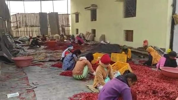 ऐसे निर्यात करने में मिली सफलता