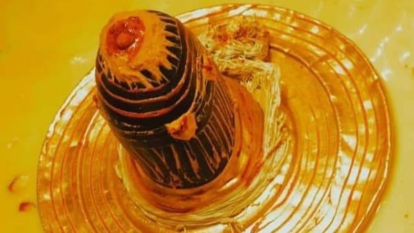 दर्शन के लिए विशेष इंतजाम दर्शन के लिए विशेष इंतजाम