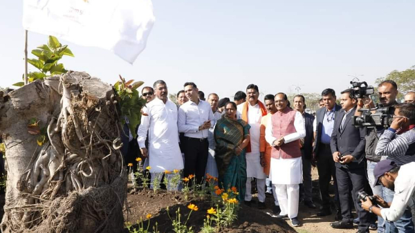 मैंने प्रतिदिन पेड़ लगाने का संकल्प लिया: CM मैंने प्रतिदिन पेड़ लगाने का संकल्प लिया: CM