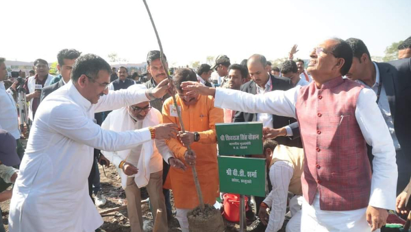 हमे पेड़ लगाना ही नहीं, बचाना भी है: CM हमे पेड़ लगाना ही नहीं, बचाना भी है: CM