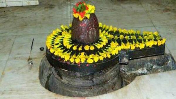 शिवलिंग को भगवान विष्णु ने पूजा था शिवलिंग को भगवान विष्णु ने पूजा था