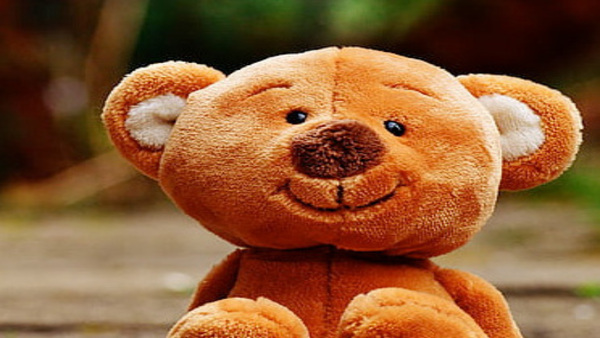  'टेडी बियर' का हर रंग बहुत कुछ कहता है 