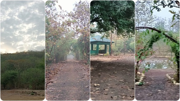 इंदौर के पितृ पर्वत की तरह सागर में भी बनेगा स्थान