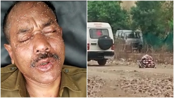 पुलिस पर मधुमक्खियों का हमला पुलिस पर मधुमक्खियों का हमला