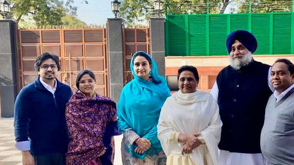 who is the bride of Mayawatis nephew Akash, Dr. Pragya Siddhartha