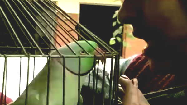 Agra Life imprisonment in Swarajya Times editor wife murder case parrot Mithu had caught the killer 