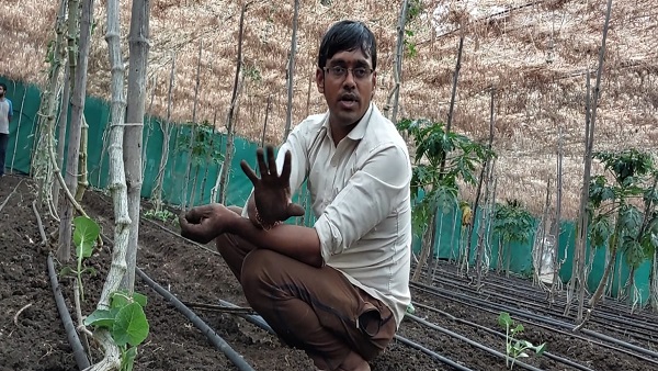 मल्टी लेयर फार्मिंग मल्टी लेयर फार्मिंग