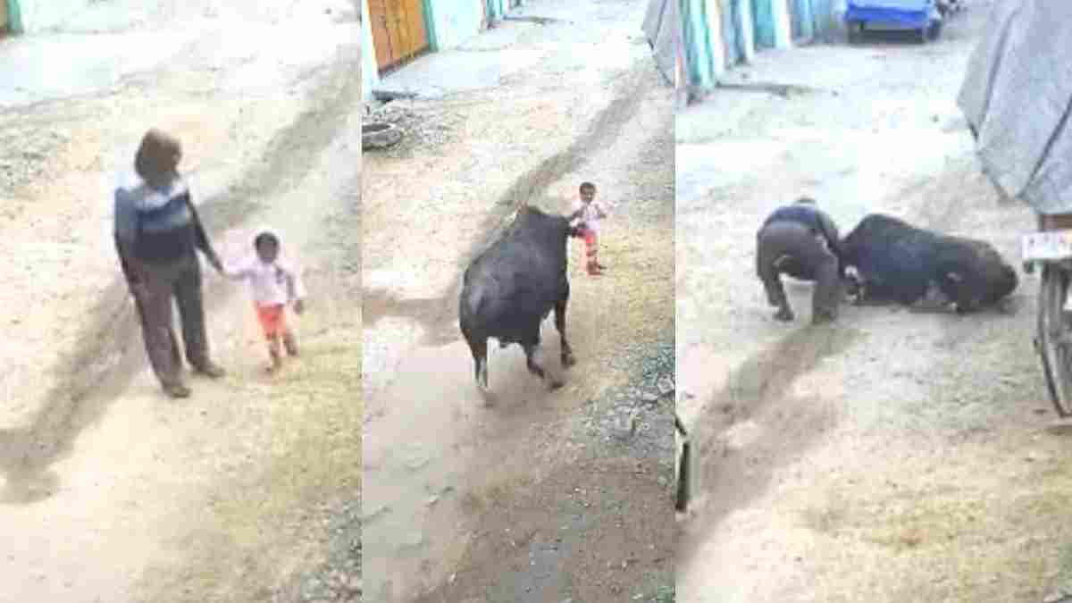 Aligarh News Aligarh News