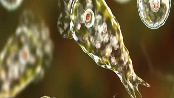 डॉक्टर ने नल के पानी में नाक धोने से बचने के लिए कहा