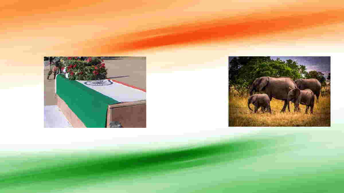CRPF jawan of ballia death due to trampling by elephants during parade in forest of Gwalior CRPF jawan of ballia death due to trampling by elephants during parade in forest of Gwalior