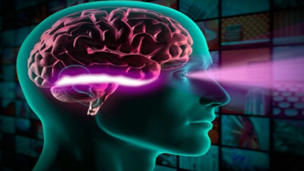 10 वर्षों तक अनुसंधान