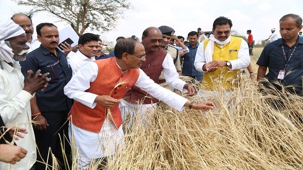 सीएम शिवराज ने कहा, ओलावृष्टि से प्रभावित किसानों की आंखों में आंसू नहीं आने देंगे