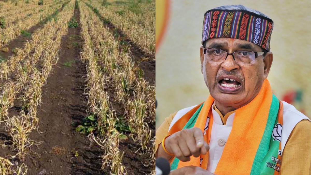 shivraj singh shivraj singh