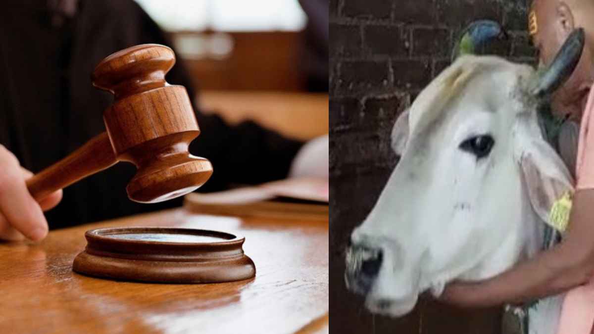 गौहत्या का कड़ा विरोध