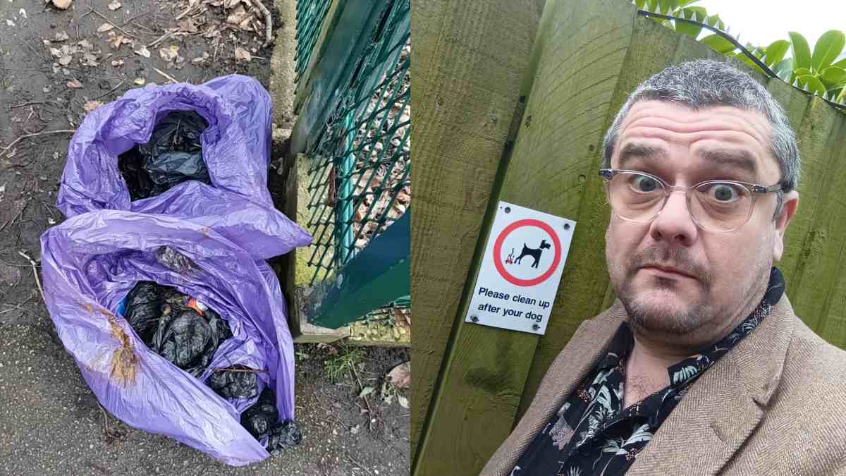 uk dog poop uk dog poop