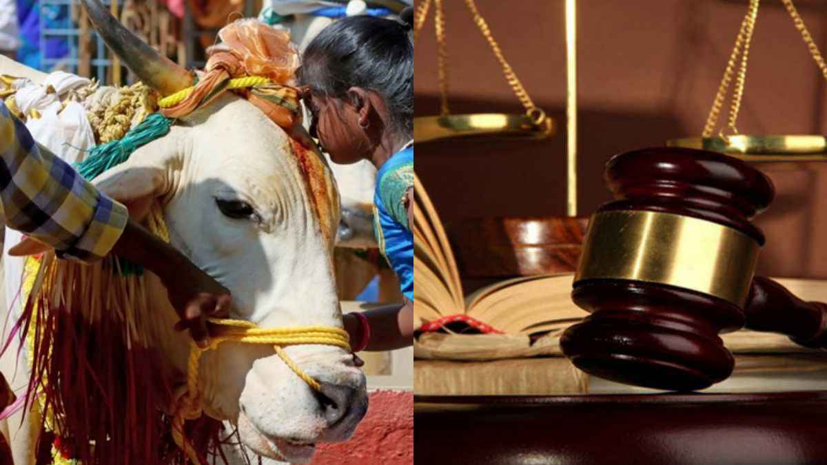 गाय राष्ट्रीय पशु: दो साल बाद दोहराई गई टिप्पणी