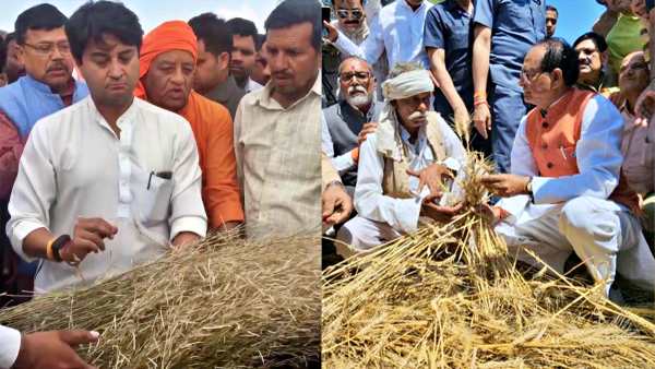 Farmers Crop Loss