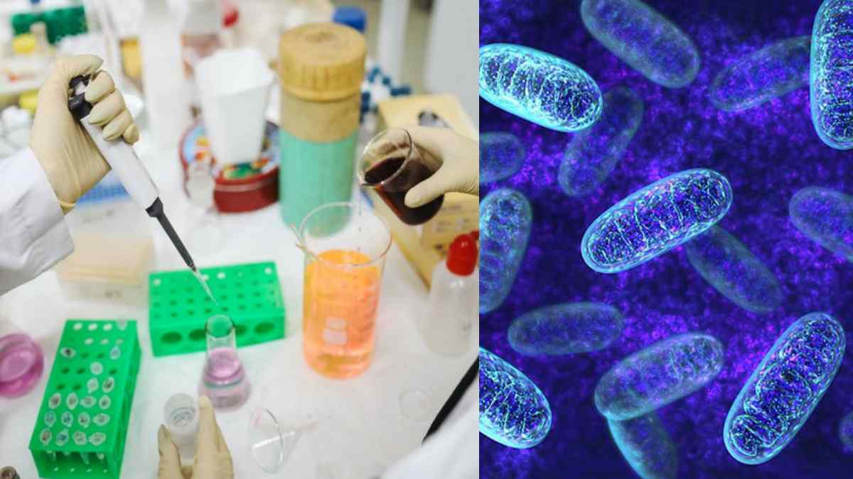 Kolkata Adenovirus Kolkata Adenovirus