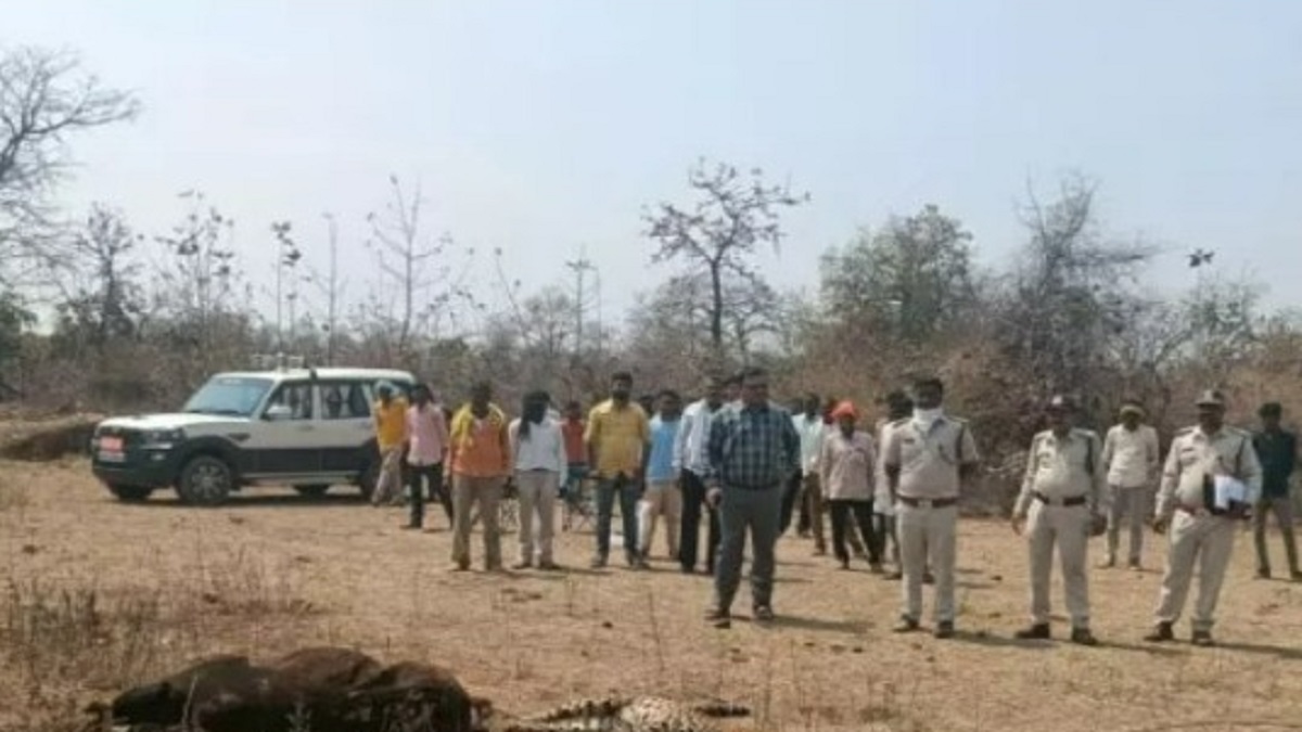  दमोह के बम्हनी गांव में करंट से गाय-तेंदुए की मौत