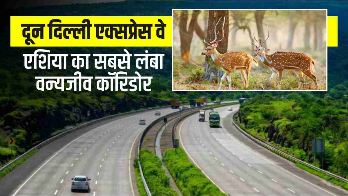 Dehradun-Delhi Expressway Asia longest wildlife corridor to be built journey from Delhi to Doon Dehradun-Delhi Expressway Asia longest wildlife corridor to be built journey from Delhi to Doon