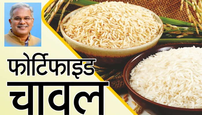 floride rice cg floride rice cg