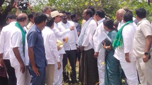 Farmers Crop Loss