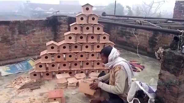 Bird Lover Rajeev Ranjan Protecting Sparrow In Tetrawa Village Bihar Sharif