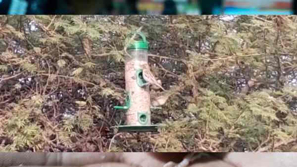 Bird Lover Rajeev Ranjan Protecting Sparrow In Tetrawa Village Bihar Sharif